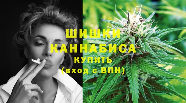 стафф Осинники