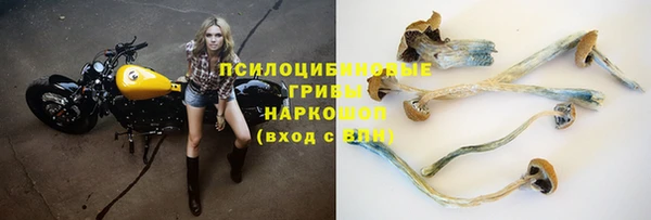 ПСИЛОЦИБИНОВЫЕ ГРИБЫ Остров