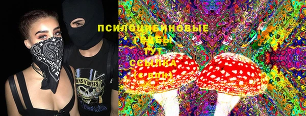 ПСИЛОЦИБИНОВЫЕ ГРИБЫ Остров