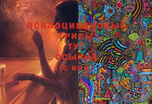 ПСИЛОЦИБИНОВЫЕ ГРИБЫ Остров