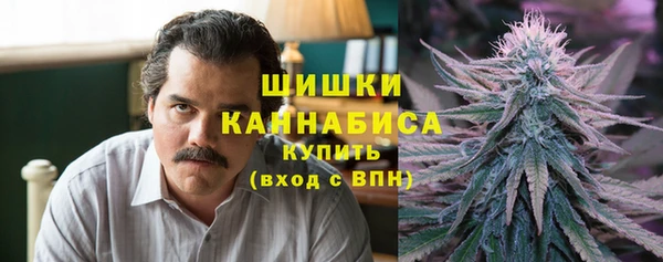 стафф Осинники