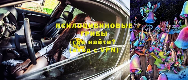 стафф Осинники